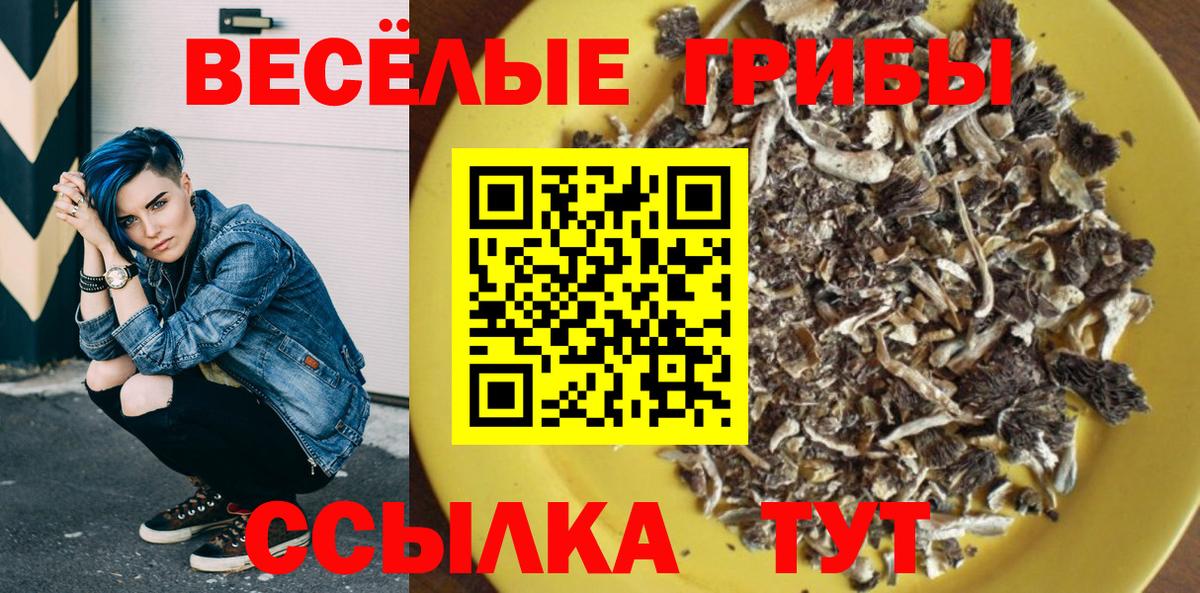 Коряжма  Галлюциногенные грибы Psilocybe  купить закладку  Вход с VPN 